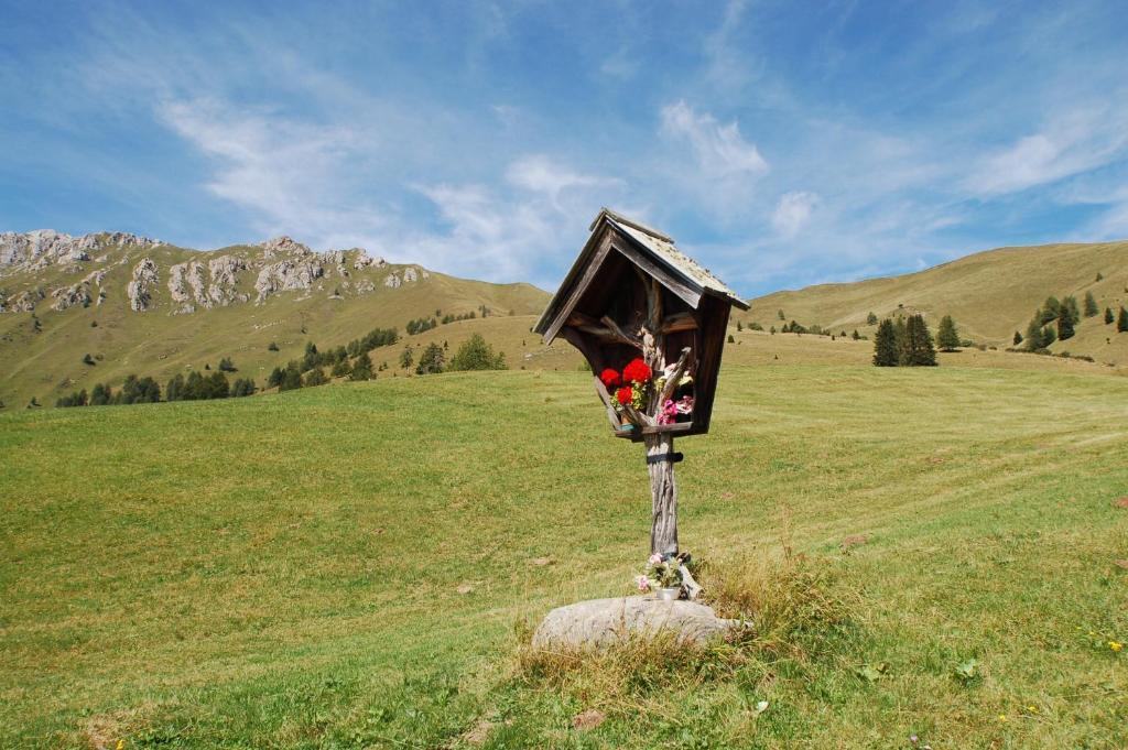 Cimon Dolomites Hotel Предаццо Экстерьер фото