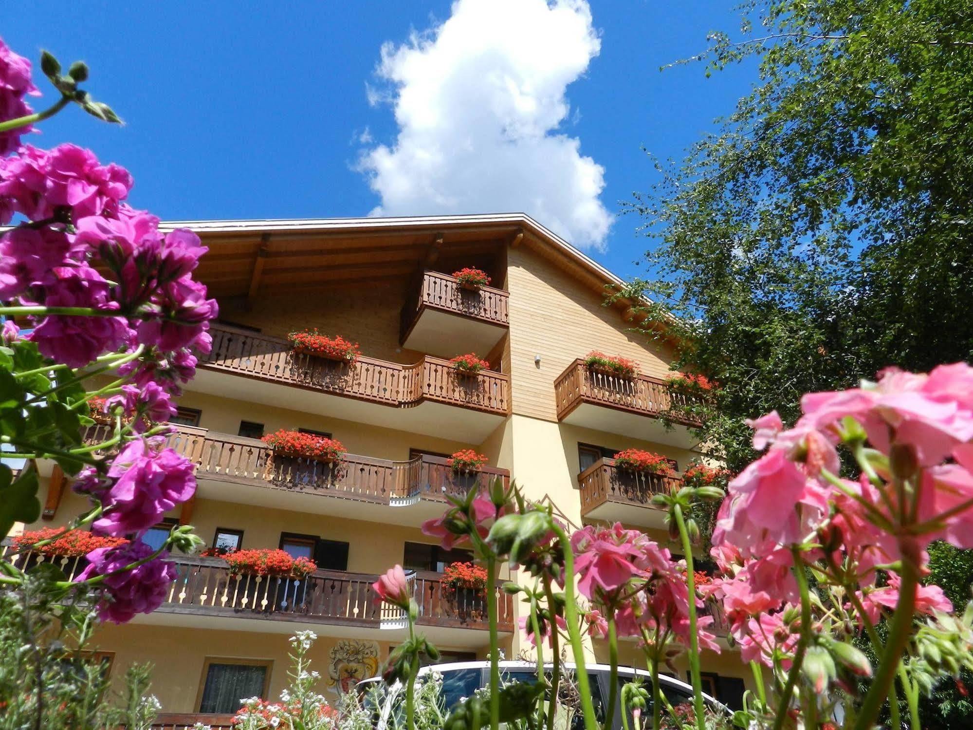 Cimon Dolomites Hotel Предаццо Экстерьер фото